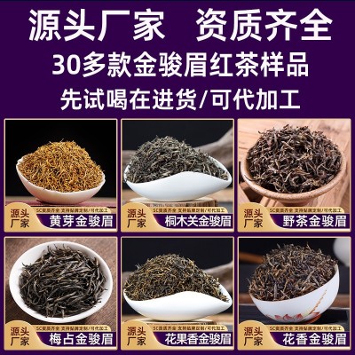 黄芽金骏眉红茶批发 武夷山桐木关野茶特级金俊眉茶叶样品试喝装