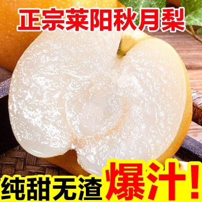 山东莱阳秋月梨当季摘新鲜梨子脆甜冰糖梨雪梨蜜梨批发水果整箱