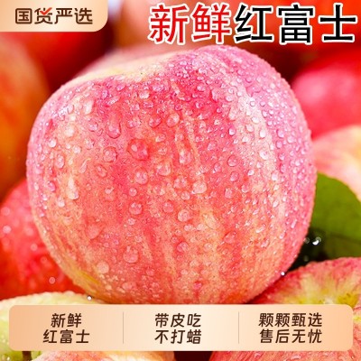 2025年新鲜红富士苹果应当季水果冰糖心脆甜整箱包生鲜烟台发货