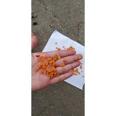 大量供应脱水红薯粒低温烘焙五谷地瓜丁10*10*10规格可定红薯地瓜
