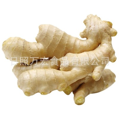不锈钢无缝管出口姜，出口保鲜姜，出口生姜，鲜姜
