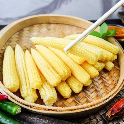 清水玉米笋500g整箱去皮玉米笋小根迷你小玉米新鲜袋装商用批发