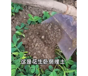分享农业种植知识帮农民增产增收