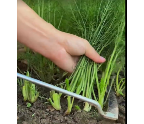 农业种植小智慧
