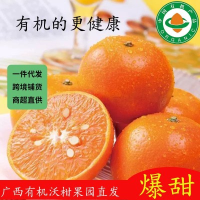 广西沃柑新鲜纯甜橘子桔子新鲜有机沃柑跨境出口商超直供批发爆甜