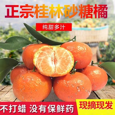 正宗广西砂糖桔新鲜水果10斤当季蜜桔金秋沙糖桔橘子贡柑整箱包邮
