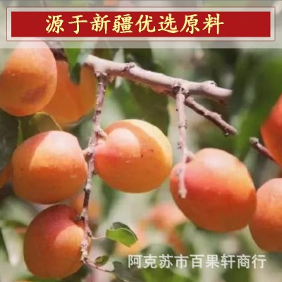 新疆特产风干杏肉杏皮子红杏杏干无核 杏皮茶原料无添加500g批发