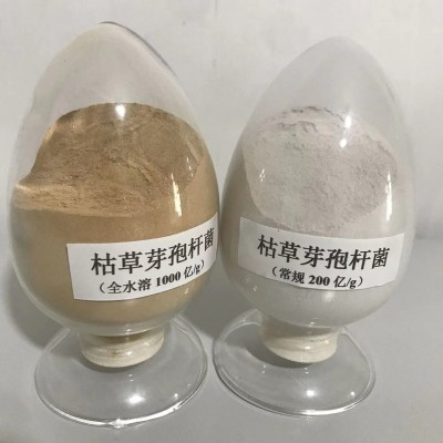 枯草芽孢杆菌 200- 1000亿 饲料农用水产用 枯草芽孢杆菌