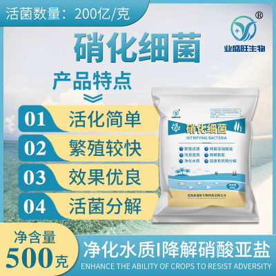 业盛旺硝化细菌水产养殖生物降氨氮亚硝酸盐粪便水质底改高效分解