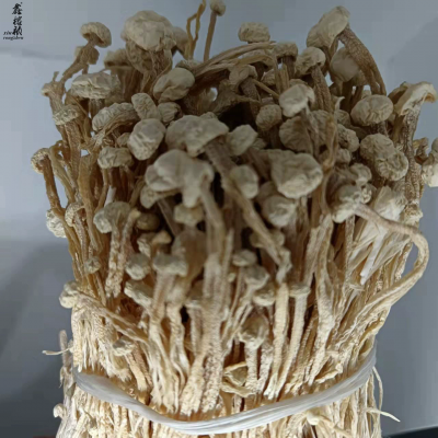 鑫榕钰 白色金针菇干货批发 酒店食材火锅煲汤美味厂家直供