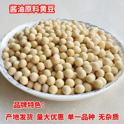 至盈黄金豆新粮现货批发东北大豆非转基因酱油专用黄豆100斤商用